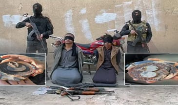 Восемь террористов ИГИЛ арестованы в Хасеке, Дейр-эз-Зоре и Манбидже