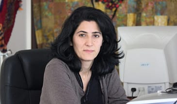 Нилюфер Коч: ДПК совершает преступления против курдов